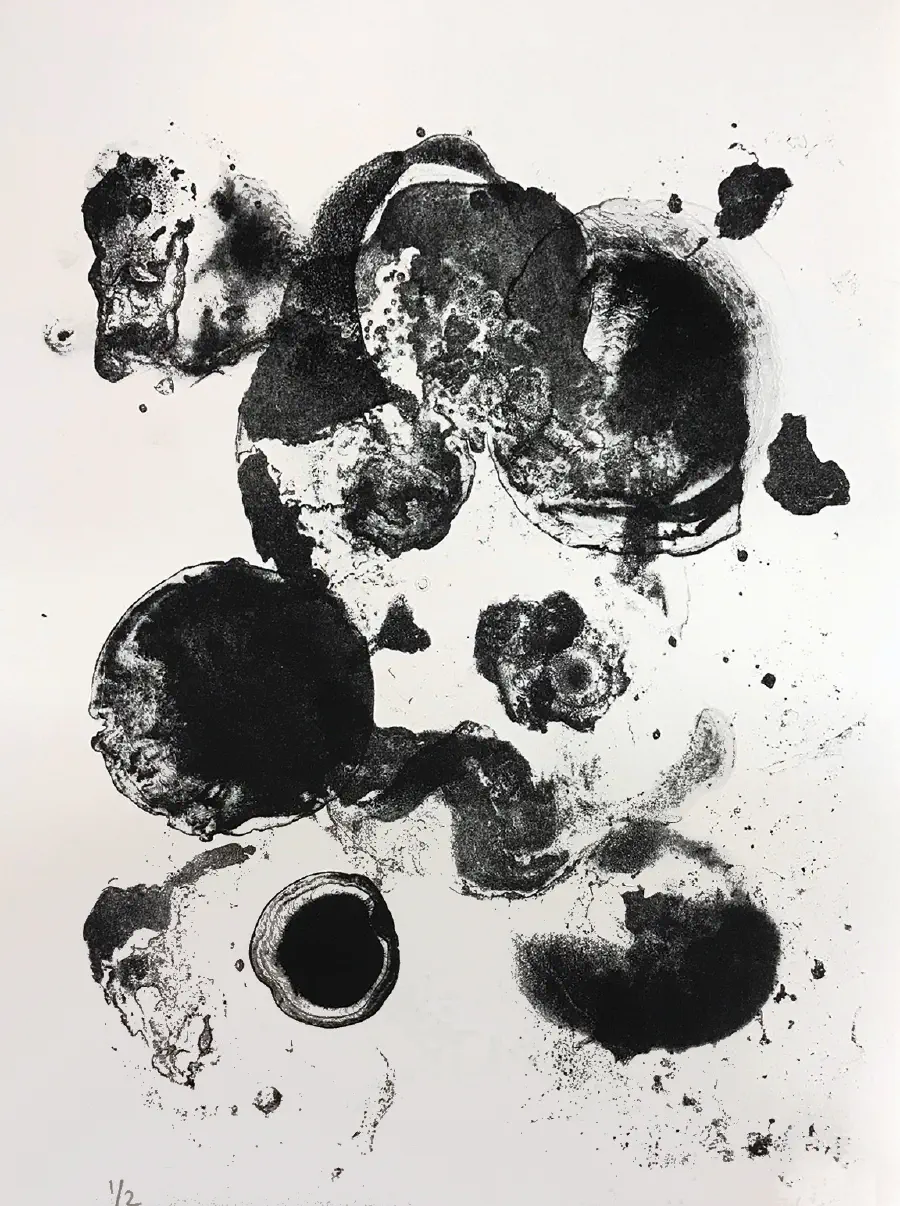 Abstracted shapes that are white and black.