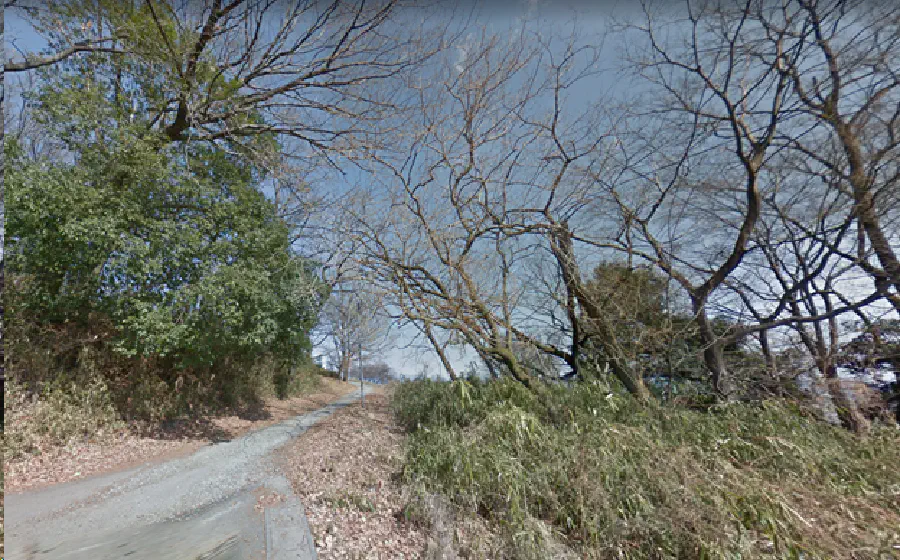 A photograph of a road surrounded by woods.