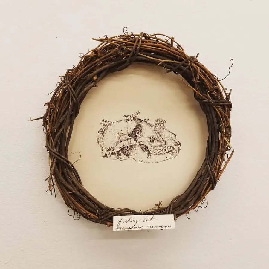 A drawing of a cat skull with a woven wooden framing.