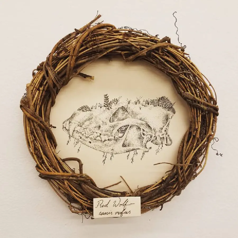 A drawing of a red wolf skull with a woven wooden framing.