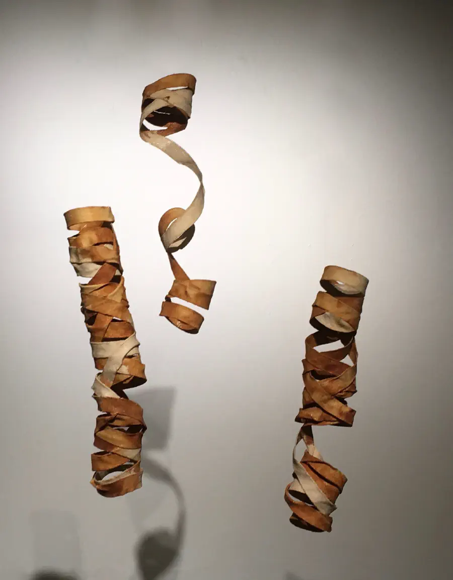 Wrapped up ribbon-like structures that appear to be floating in the air.