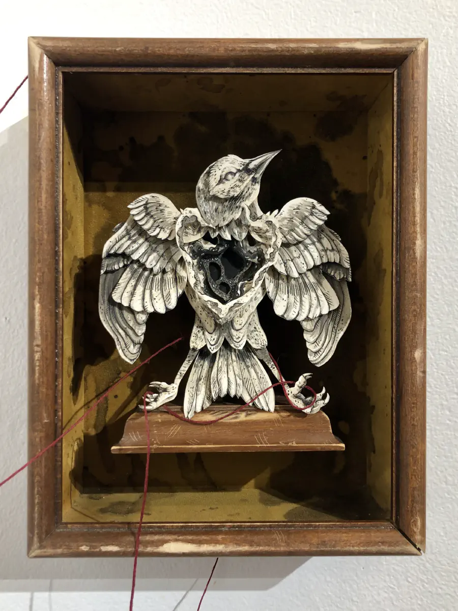 Closeup of the owl with red string looped arounts its talons.