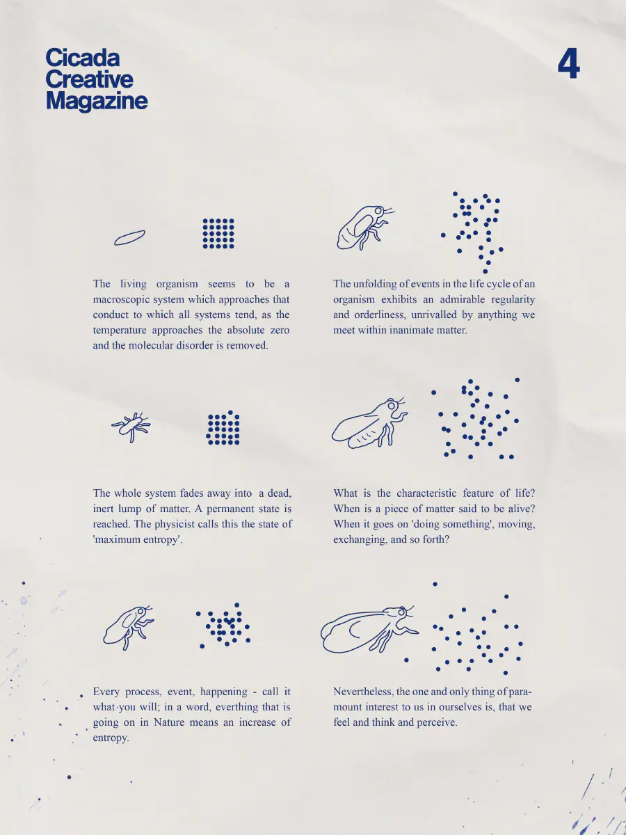 A grid demonstrating a cicada's life cycle alongside Erwin Shrodinger's 'What is Life?' writing describing negative entropy.
